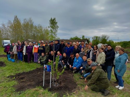 80 төп җимеш агачы утыртылган алма бакчасы тынычлык символы булсын