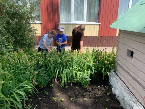 В лагере труда и отдыха Светлоозерской школы дети учатся заботиться о природе