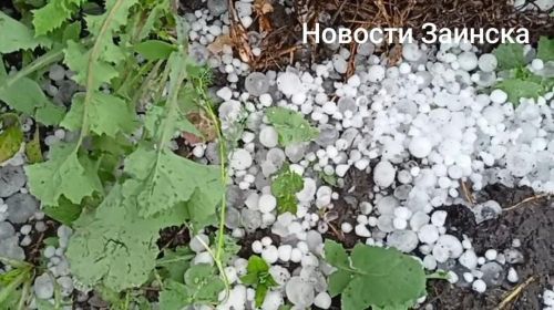 В Заинске прошел крупный град