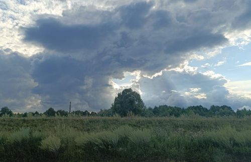 В Татарстане до конца июня сохранится прохладная погода