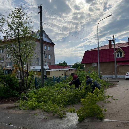 Горзеленхоз в Заинске заботится о чистоте и порядке в городе