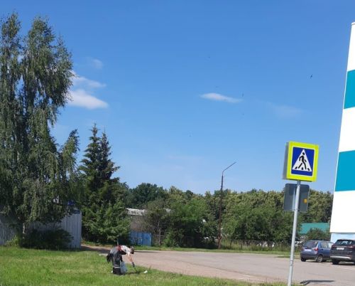 Горзеленхоз в Заинске заботится о чистоте и порядке в городе