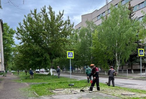 Горзеленхоз в Заинске заботится о чистоте и порядке в городе