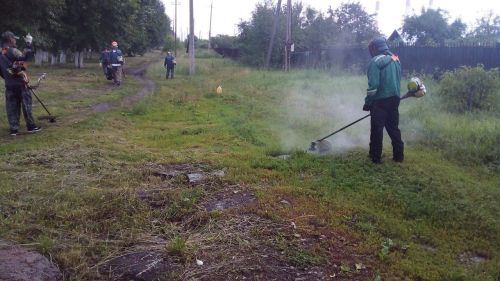 Горзеленхоз в Заинске заботится о чистоте и порядке в городе