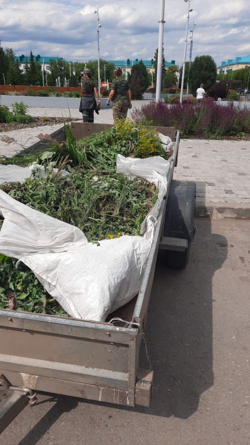 Горзеленхоз в Заинске заботится о чистоте и порядке в городе