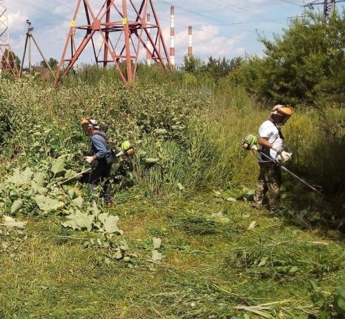 Горзеленхоз в Заинске заботится о чистоте и порядке в городе