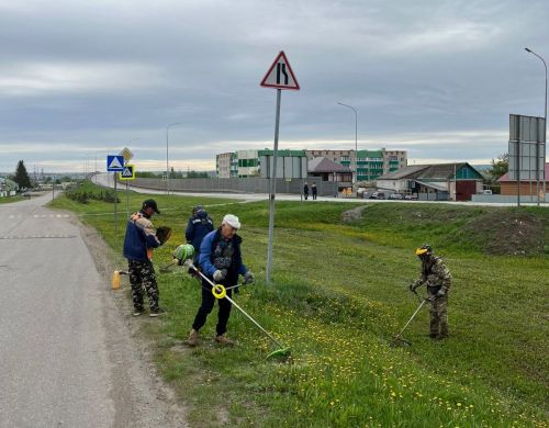 Горзеленхоз в Заинске заботится о чистоте и порядке в городе