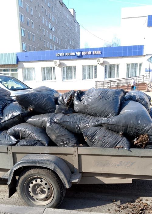 Горзеленхоз в Заинске заботится о чистоте и порядке в городе