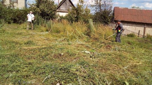 Горзеленхоз в Заинске заботится о чистоте и порядке в городе