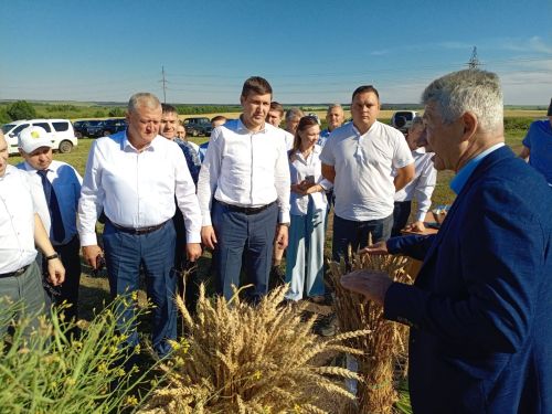 Зәйдә Питрау бәйрәменә килгән кунаклар басуларны да карадылар