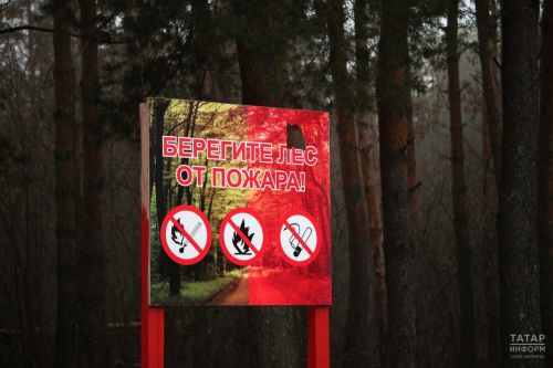 Штормовое предупреждение в Татарстане: из-за высокой пожароопасности введены жесткие ограничения