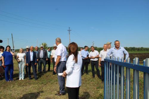 От «Садов памяти» до маскировочных сетей: как Поручиковское поселение пишет современную историю малой родины