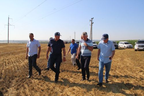 Жатва-2025: как Заинский район берет новые урожайные высоты