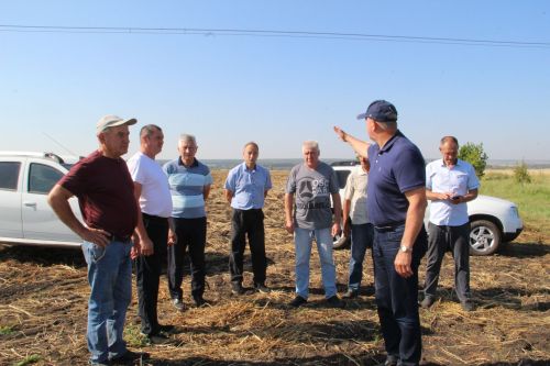 Жатва-2025: как Заинский район берет новые урожайные высоты