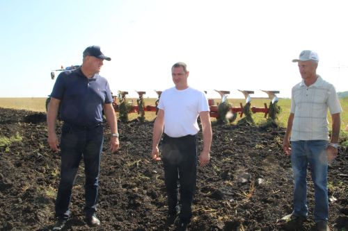 Жатва-2025: как Заинский район берет новые урожайные высоты