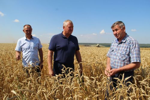 Жатва-2025: как Заинский район берет новые урожайные высоты