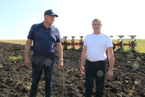 Кырларда хезмәт гөрелтесе