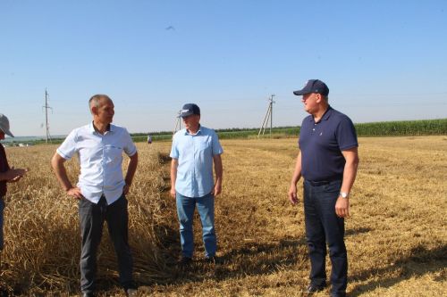 Жатва-2025: как Заинский район берет новые урожайные высоты