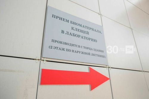 Почти 8 тысяч жителей Татарстана пострадали от укусов клещей с начала сезона