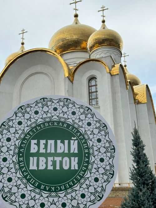 Приход Свято-Троицкого собора Заинска принял участие в благотворительной ярмарке «Белый цветок»