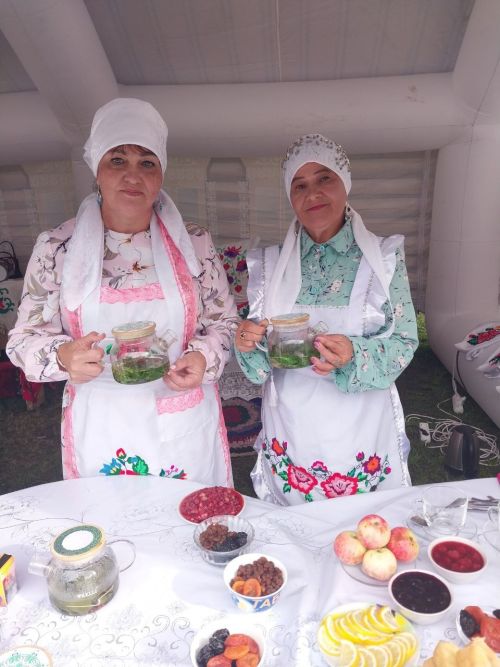 В Заинске активные участники программы «Наш двор» получили благодарственные письма
