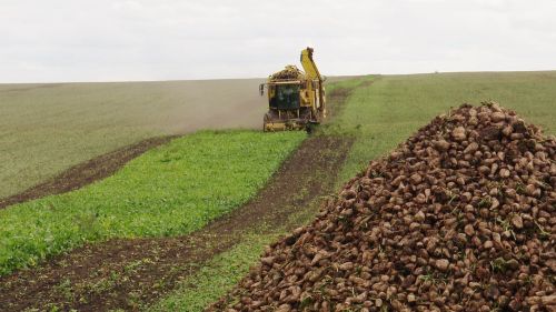 Зәй аграрийлары коры һава торышыннан максималь файдалана