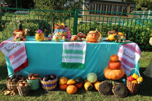 Зәйдә “Ялчыгол укулары” киң колач белән үтте