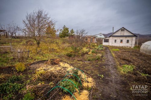 Октябрь в саду: готовим растения к зиме