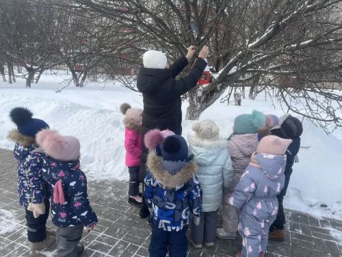 Заинские дошколята сделали кормушки и накормили зимующих птиц