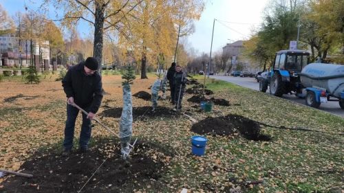 На Бульваре Победы в Заинске высадят 160 деревьев