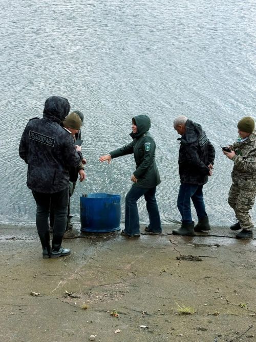 Зәй сусаклагычына экоакция кысаларында 1000 гә якын сазан маймычын җибәрделәр