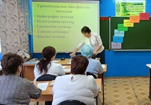 Зәйдә Туган тел көне алдыннан татар теле һәм әдәбияты укытучылары фикерләште