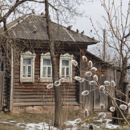 Народные приметы на 11 марта: что можно и нельзя делать в день Порфирия Позднего