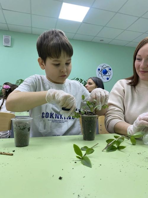 Белгечләр киңәше: Чәчәкләрне нинди туфракка утыртырга һәм петунияләрне ничек үрчетергә?