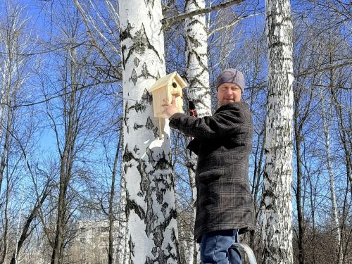 Ученики заинской школы № 6 вместе с родителями смастерили и установили скворечники
