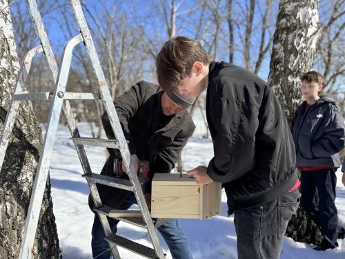 Ученики заинской школы № 6 вместе с родителями смастерили и установили скворечники