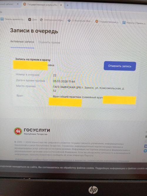 Зәйлеләр цифрлы сервислардан файдалануга өстенлек бирә