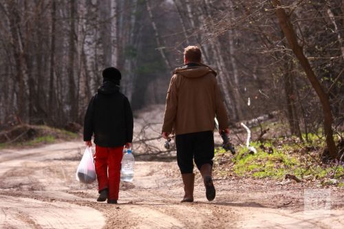 Весна в Татарстане: как защититься от клещей и болезней