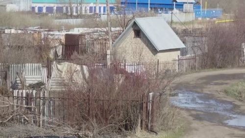 Весна – время активности «мышиной лихорадки»