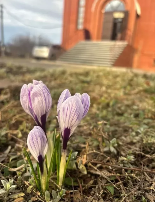 Прихожан приглашают на субботник перед Пасхой