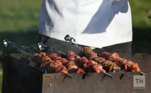 Дачада шашлык пешергән өчен штраф салырга мөмкиннәр
