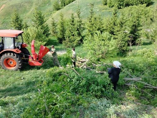 В Заинске жители и предприниматели расчистили школьную гору от американского клёна