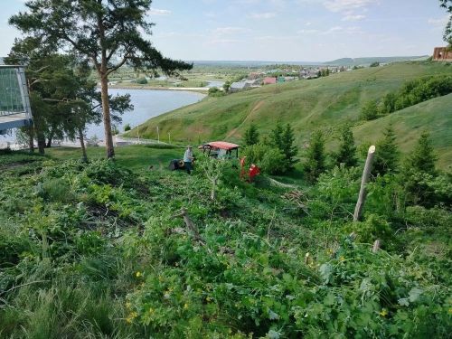 В Заинске жители и предприниматели расчистили школьную гору от американского клёна