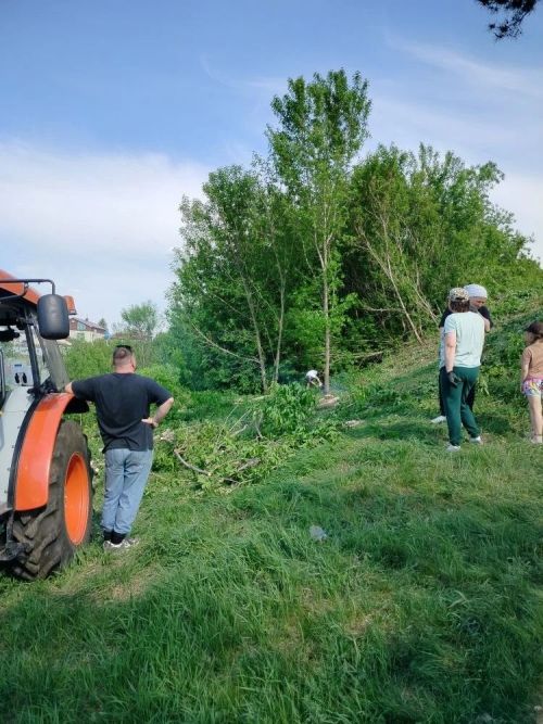 В Заинске жители и предприниматели расчистили школьную гору от американского клёна