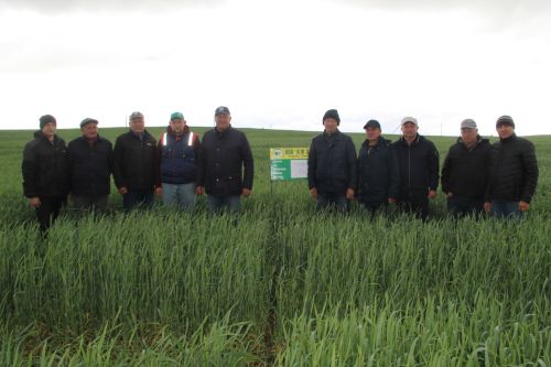 Зәйдә махсус комиссия чәчүлек җирләрен карый