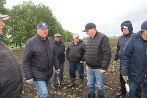Зәйдә махсус комиссия чәчүлек җирләрен карый