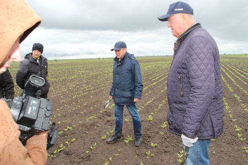 Зәйдә махсус комиссия чәчүлек җирләрен карый
