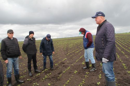 Зәйдә махсус комиссия чәчүлек җирләрен карый