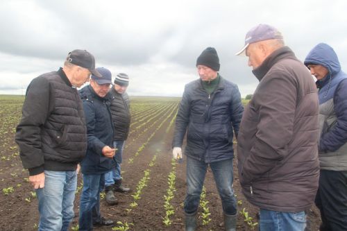 Зәйдә махсус комиссия чәчүлек җирләрен карый