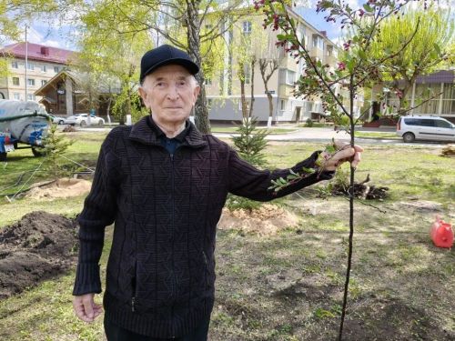 В Заинске на бульваре Победы высадили декоративные яблони к 9 Мая